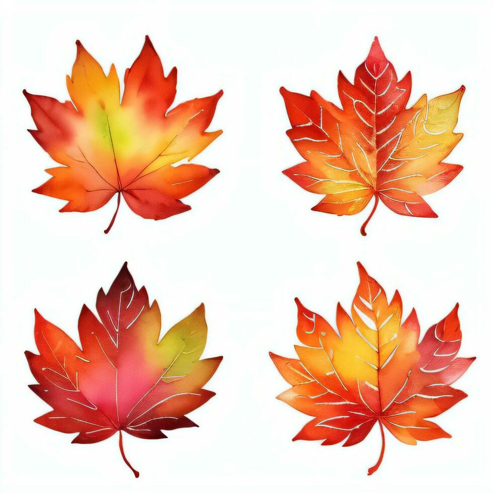 Watercolor Fall Leaves Clipart photo