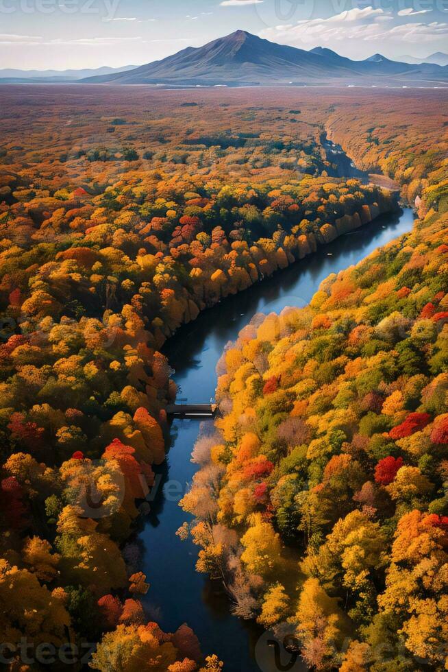 foto de el otoño bosque zumbido ver