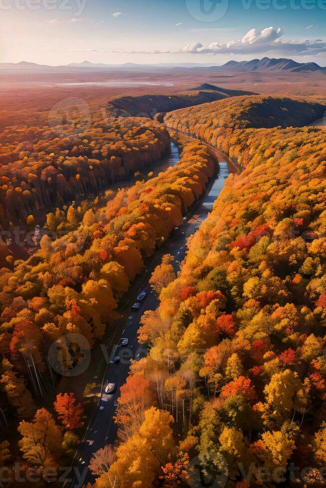 Photo of the Autumn Forest Drone View