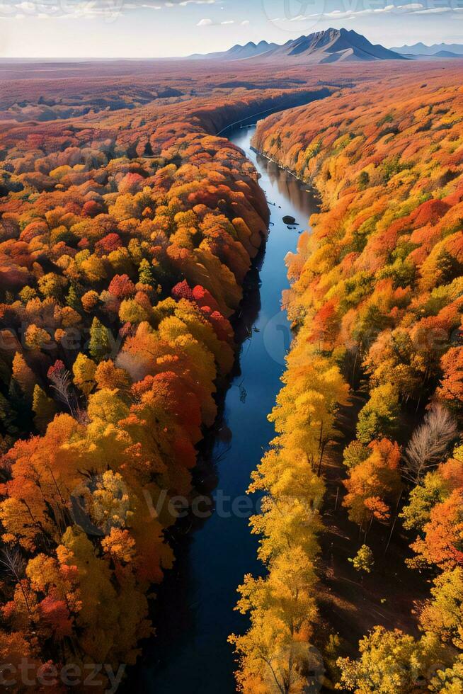 Photo of the Autumn Forest Drone View