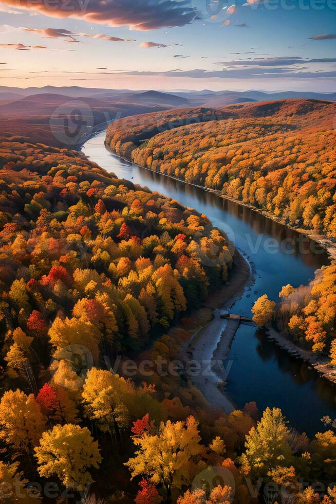 Photo of the Autumn Forest Drone View