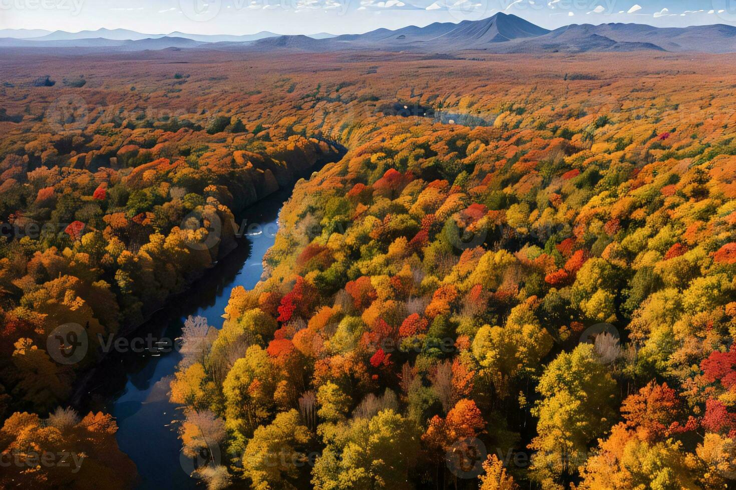 Photo of the Autumn Forest Drone View