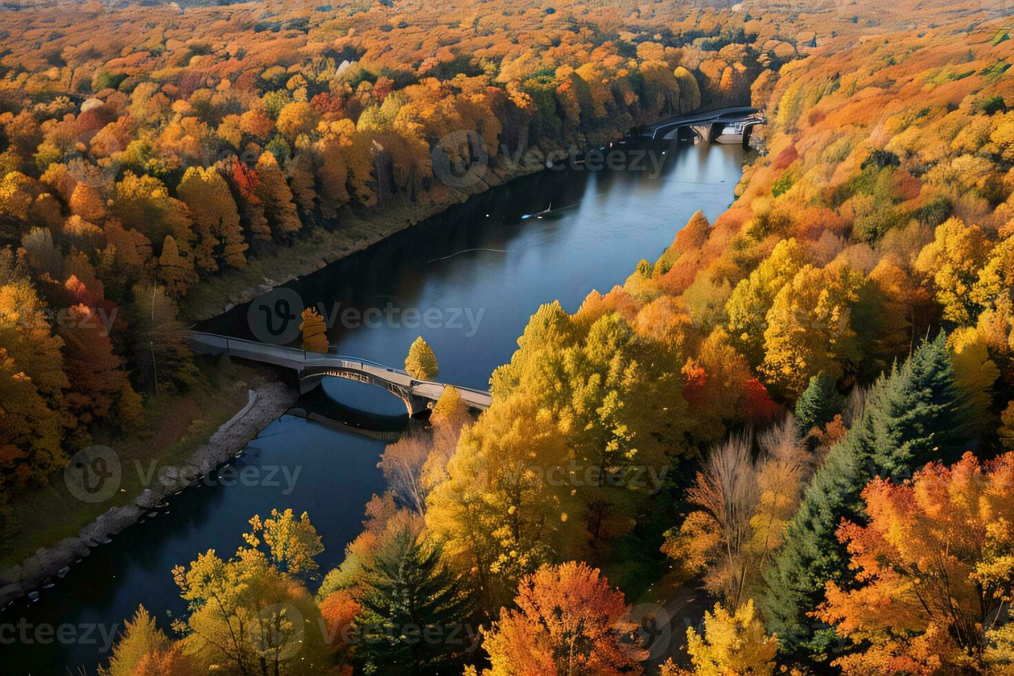 Photo of the Autumn Forest Drone View