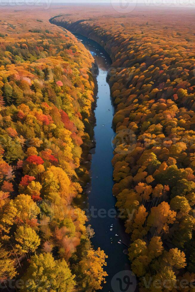 Photo of the Autumn Forest Drone View