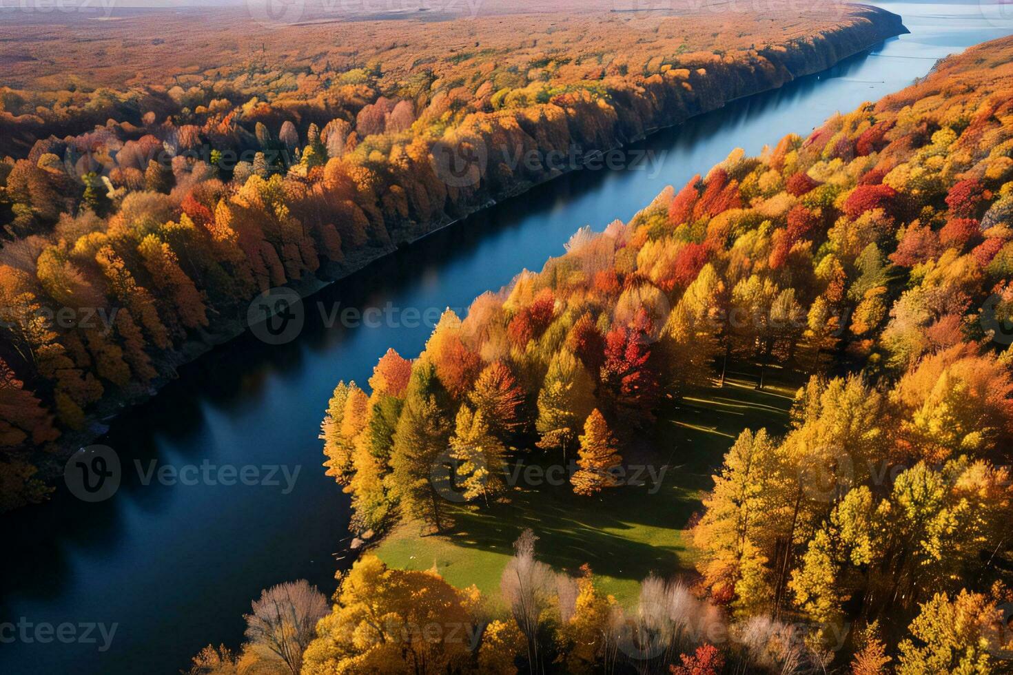 Photo of the Autumn Forest Drone View