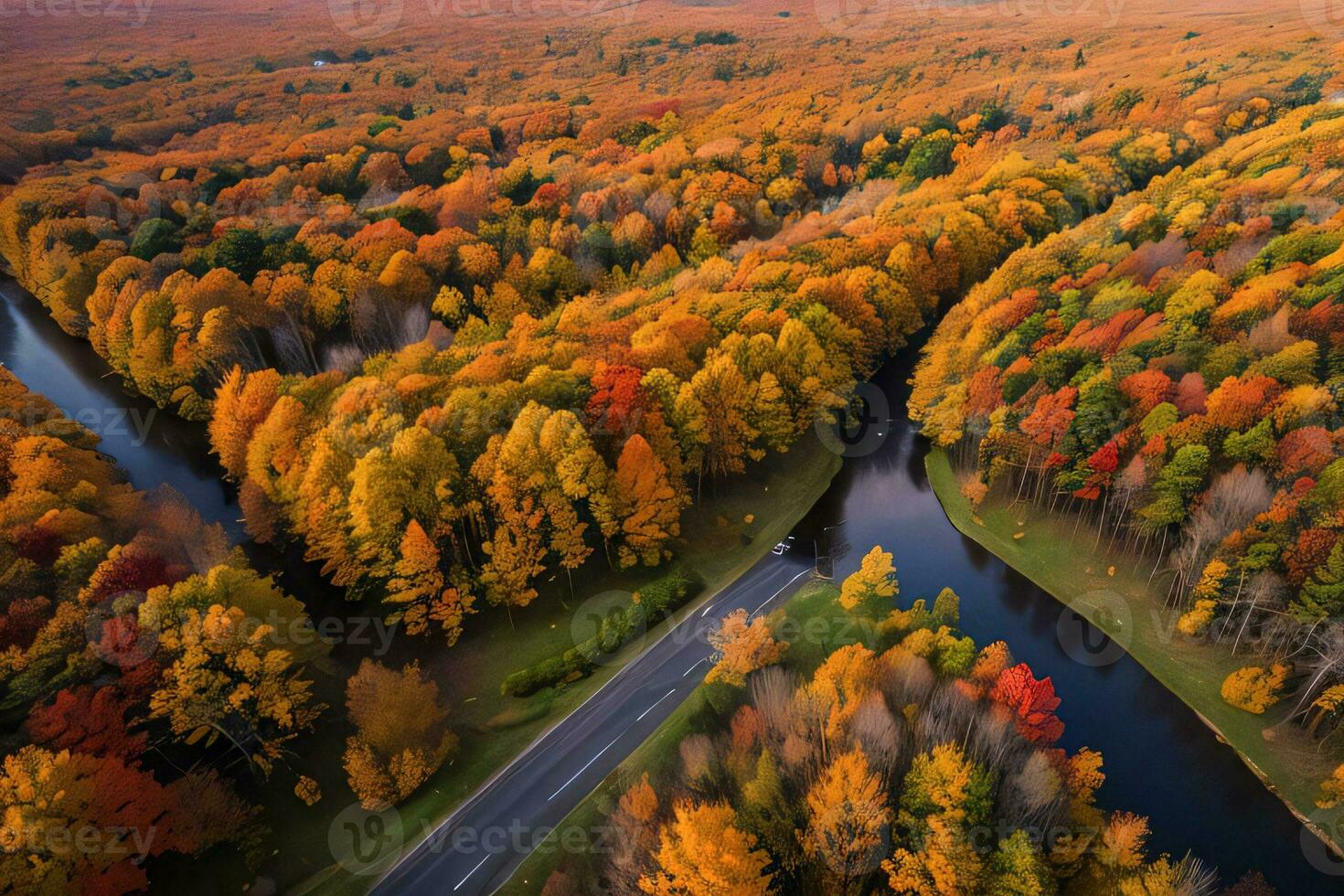 Photo of the Autumn Forest Drone View