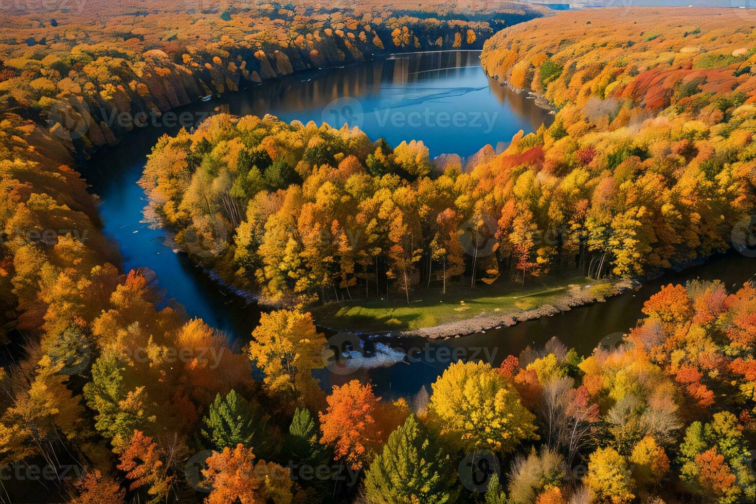 Photo of the Autumn Forest Drone View