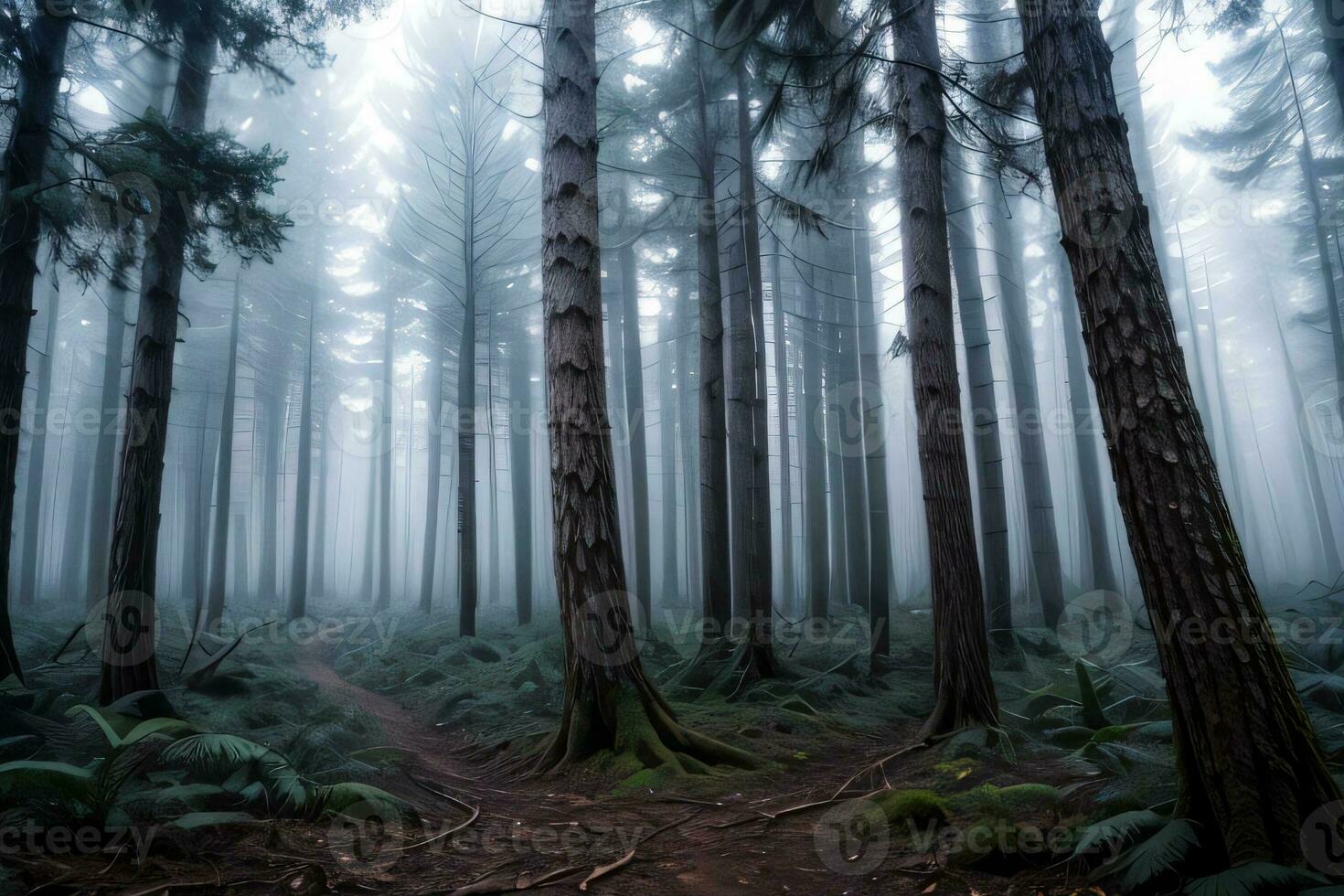 foto de el oscuro espina bosque antecedentes fondo de pantalla