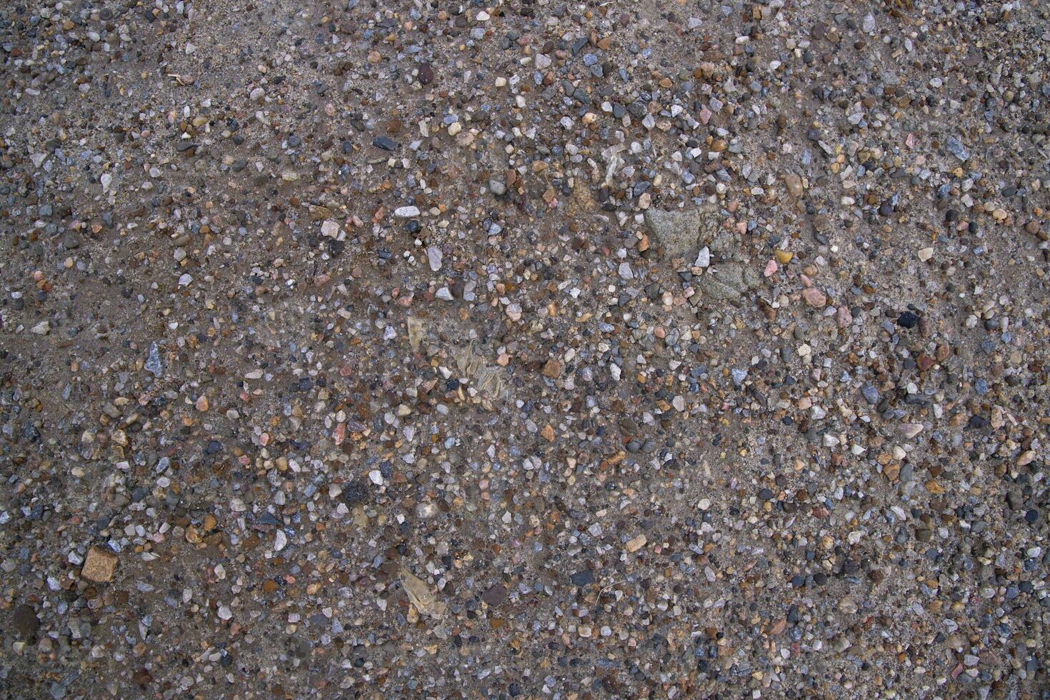 Background texture of small pebbles on the surface of the road photo