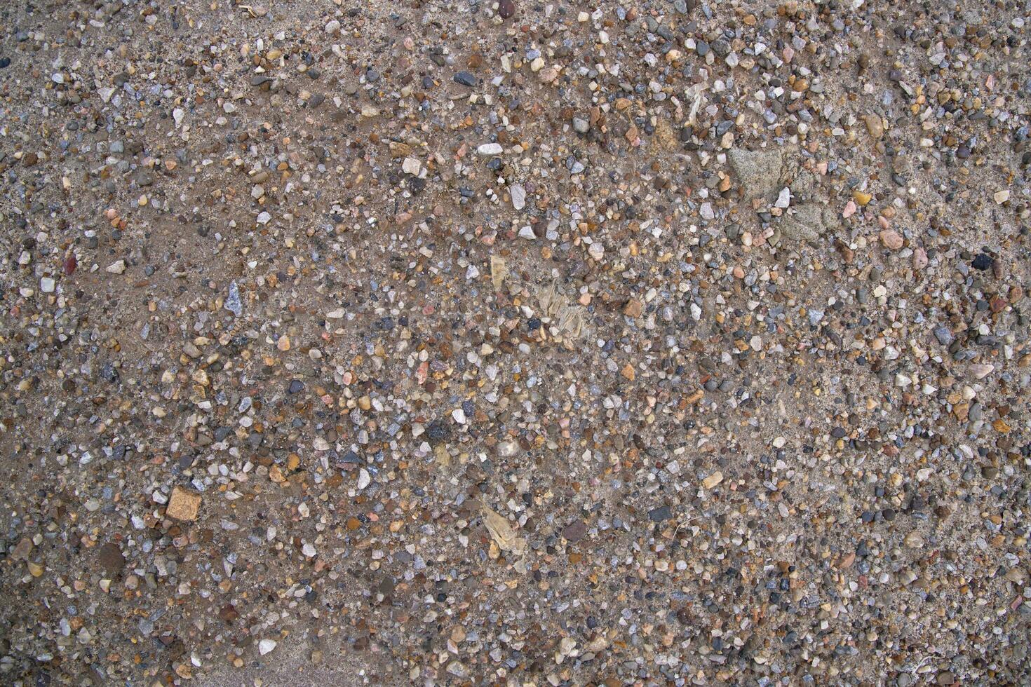 Background texture of small pebbles on the surface of the road photo