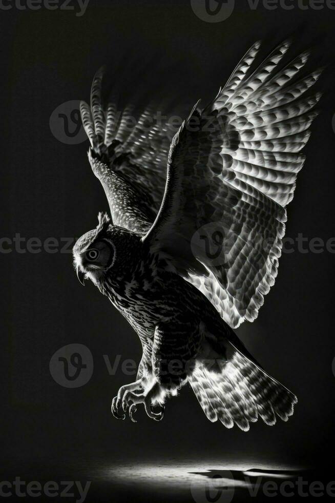 night owl studio silhouette photo black white vintage backlit portrait motion contour tattoo