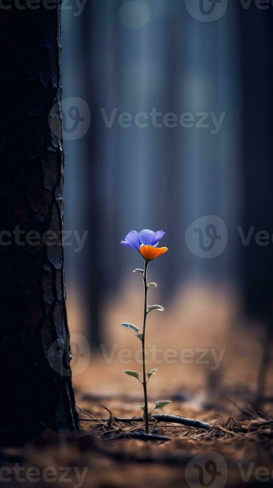 lonely blue flower forest peaceful landscape freedom scene beautiful nature wallpaper screen photo