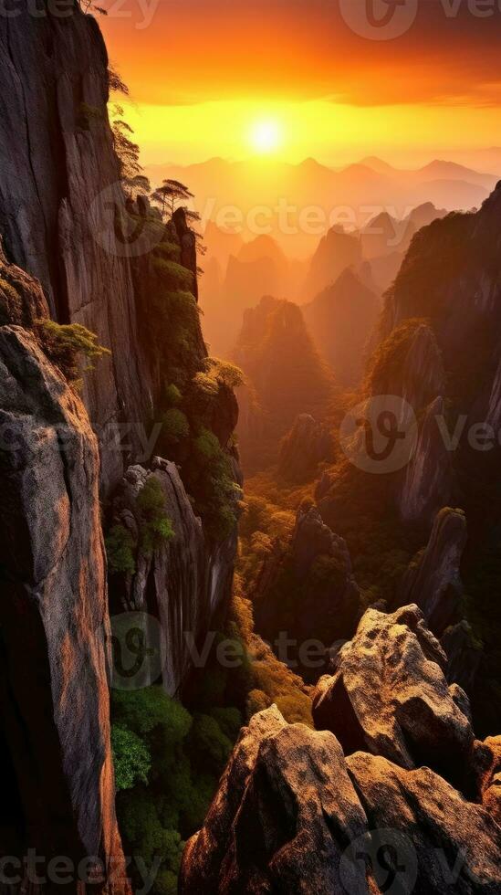 aerial view forest moody fog peaceful landscape freedom scene beautiful nature wallpaper photo