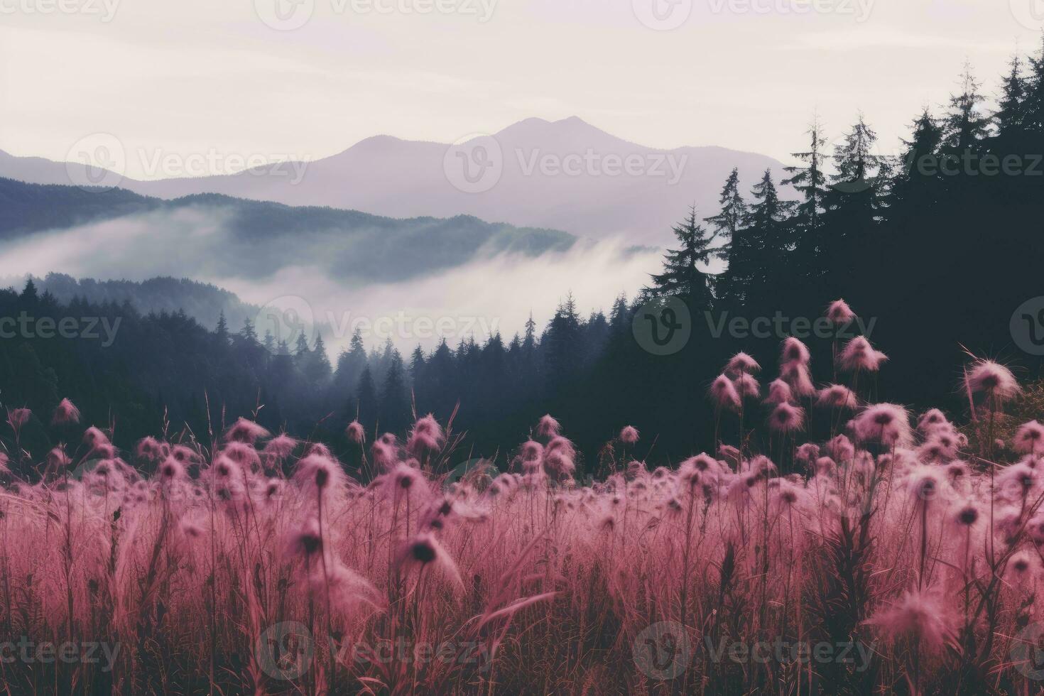 field wind grass moody wild peaceful landscape freedom scene beautiful nature wallpaper photo
