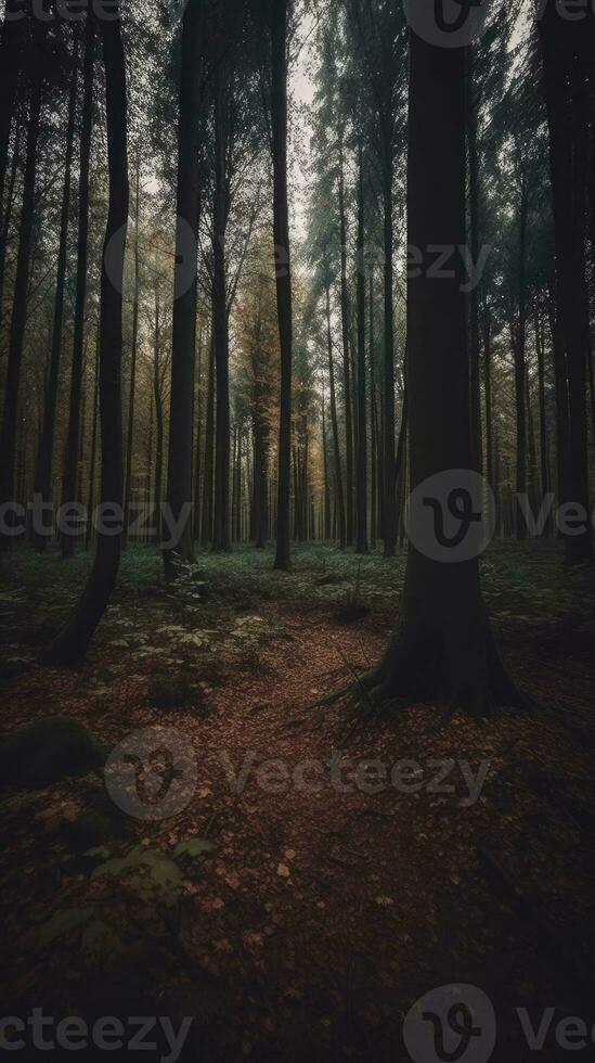 forest river silence tranquility grace landscape harmony rest calmness unity harmony photography photo