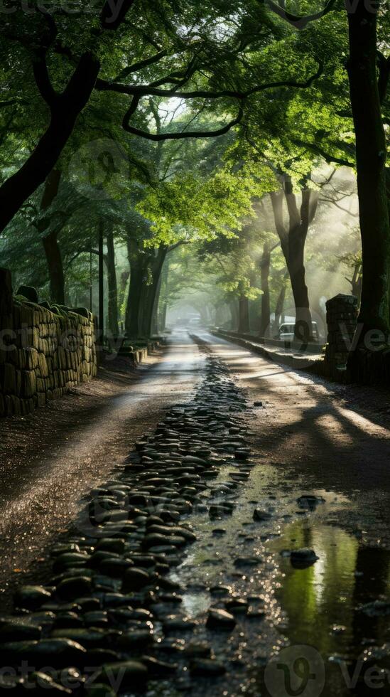 forest river silence tranquility grace landscape harmony rest calmness unity harmony photography photo