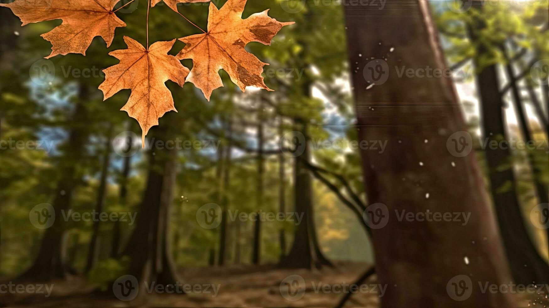 maple leaves gold tranquility grace landscape zen harmony rest calmness unity harmony photography photo