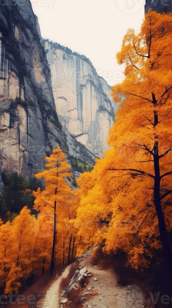 freedom epic unity tranquility grace landscape zen harmony rest calmness unity harmony photography photo