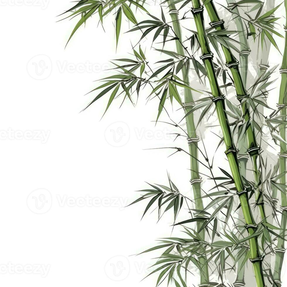 Bamboo leaves frame greeting card scrapbooking watercolor gentle illustration border wedding photo