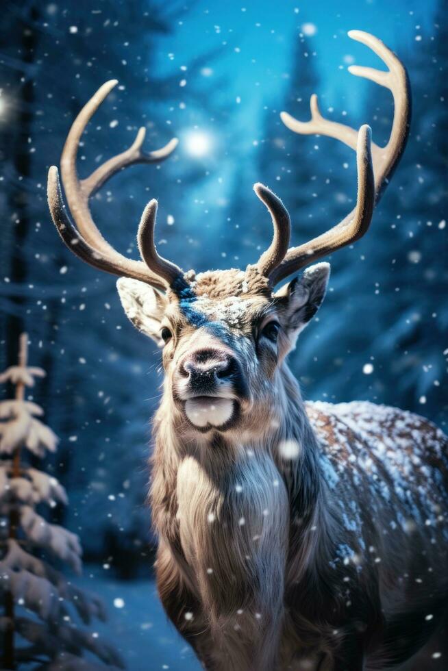 Reindeer on snow. Majestic animals, snow-covered trees, and a starry sky. photo