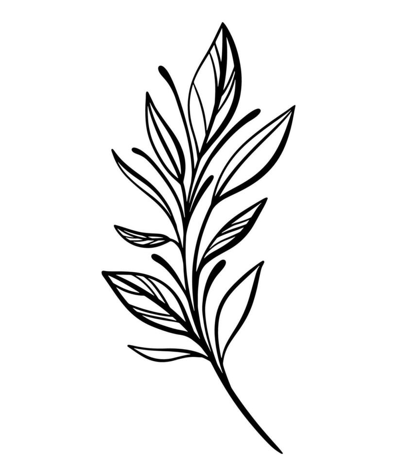 Botanical line illustration of a leaves branch for wedding invitation and cards, logo design, web, social media and posters template. Elegant minimal style floral vector isolated.