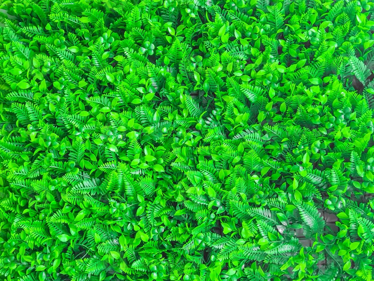 Closeup and crop decoration plastics wallpaper and floor in a  small green plants shape background. photo