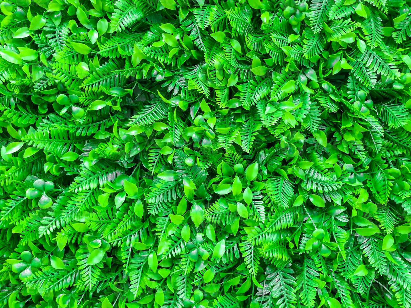 de cerca y cosecha decoración plástica fondo de pantalla y piso en un pequeño verde plantas forma antecedentes. foto