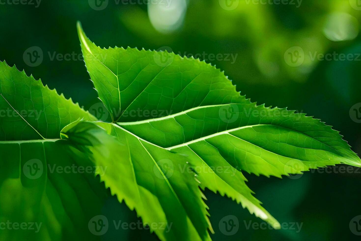 a close up of a green leaf. AI-Generated photo