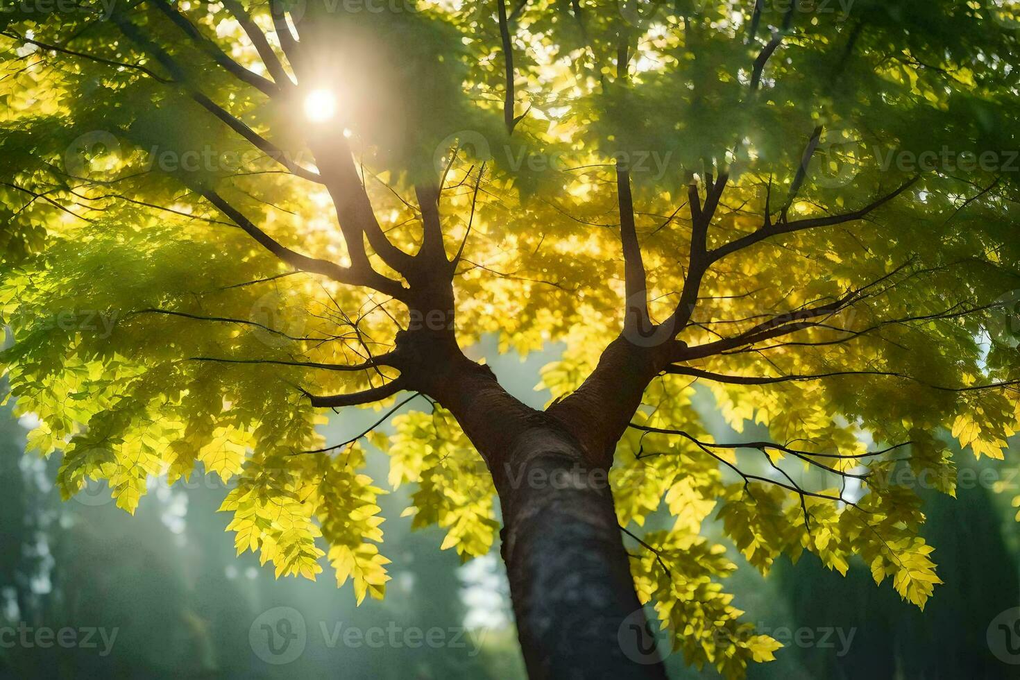 the sun shines through the leaves of a tree. AI-Generated photo