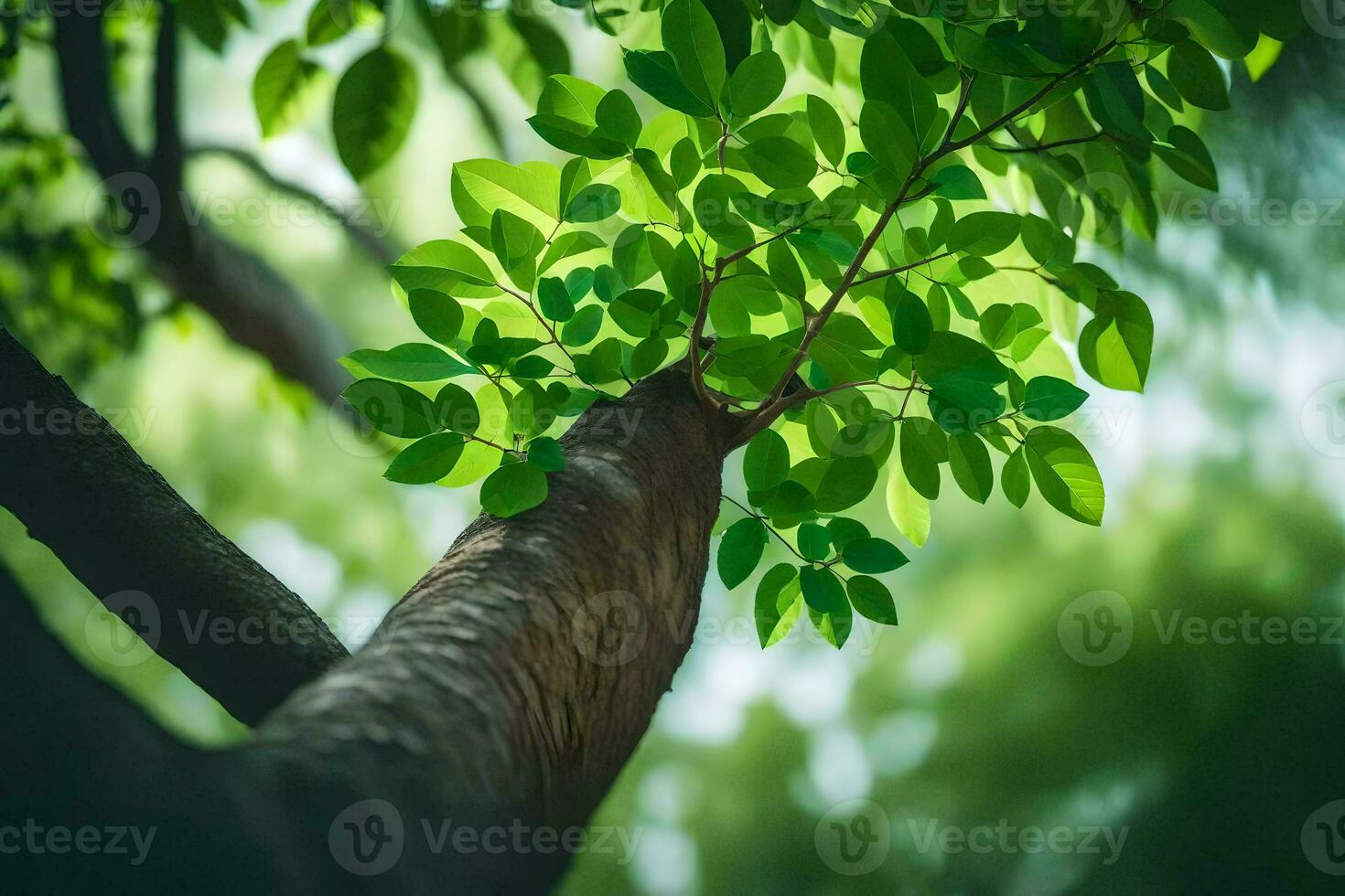 a tree with green leaves and sunlight. AI-Generated photo