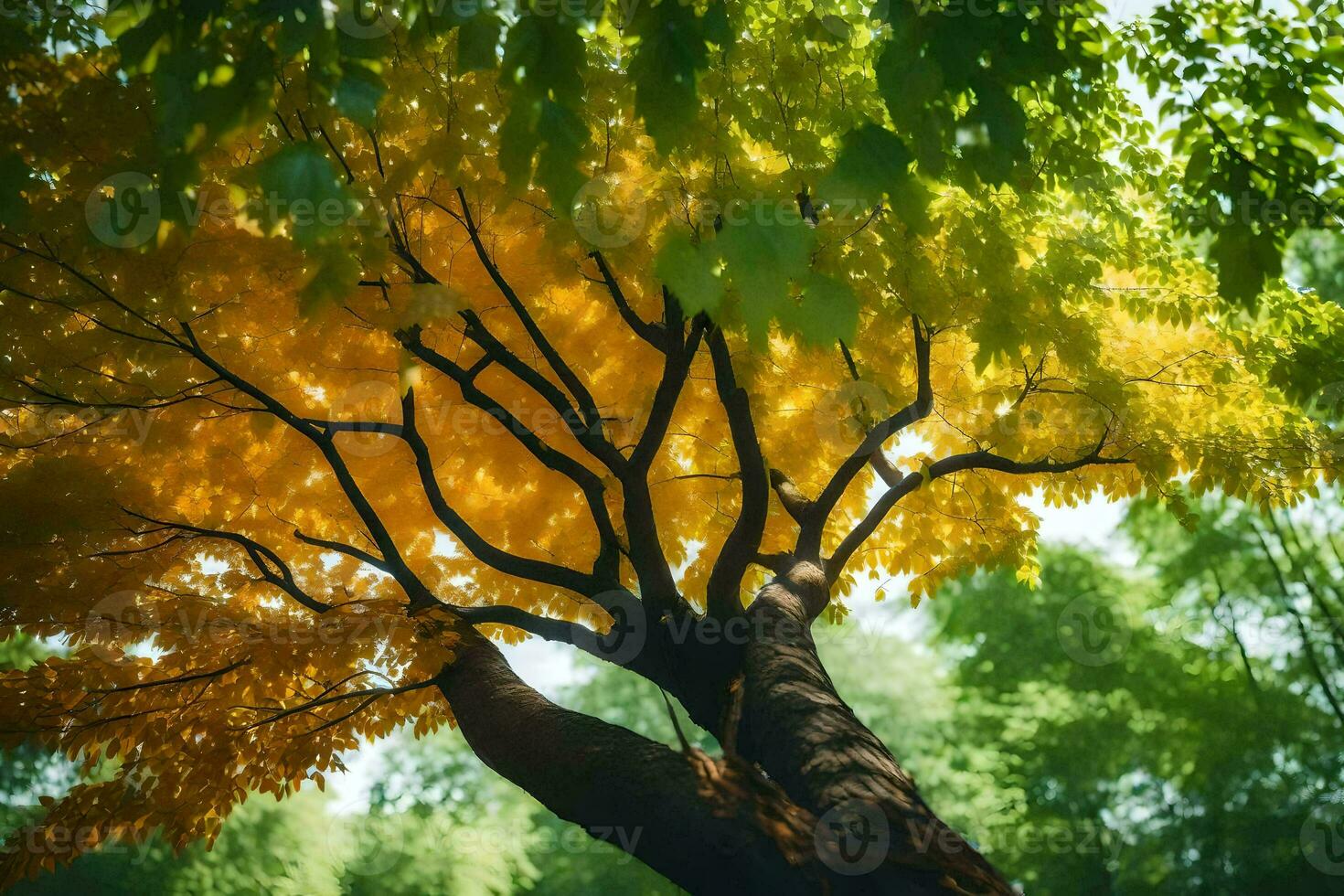a tree with yellow leaves in the forest. AI-Generated photo