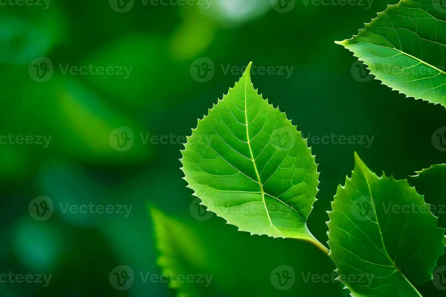 green leaves on a tree. AI-Generated photo