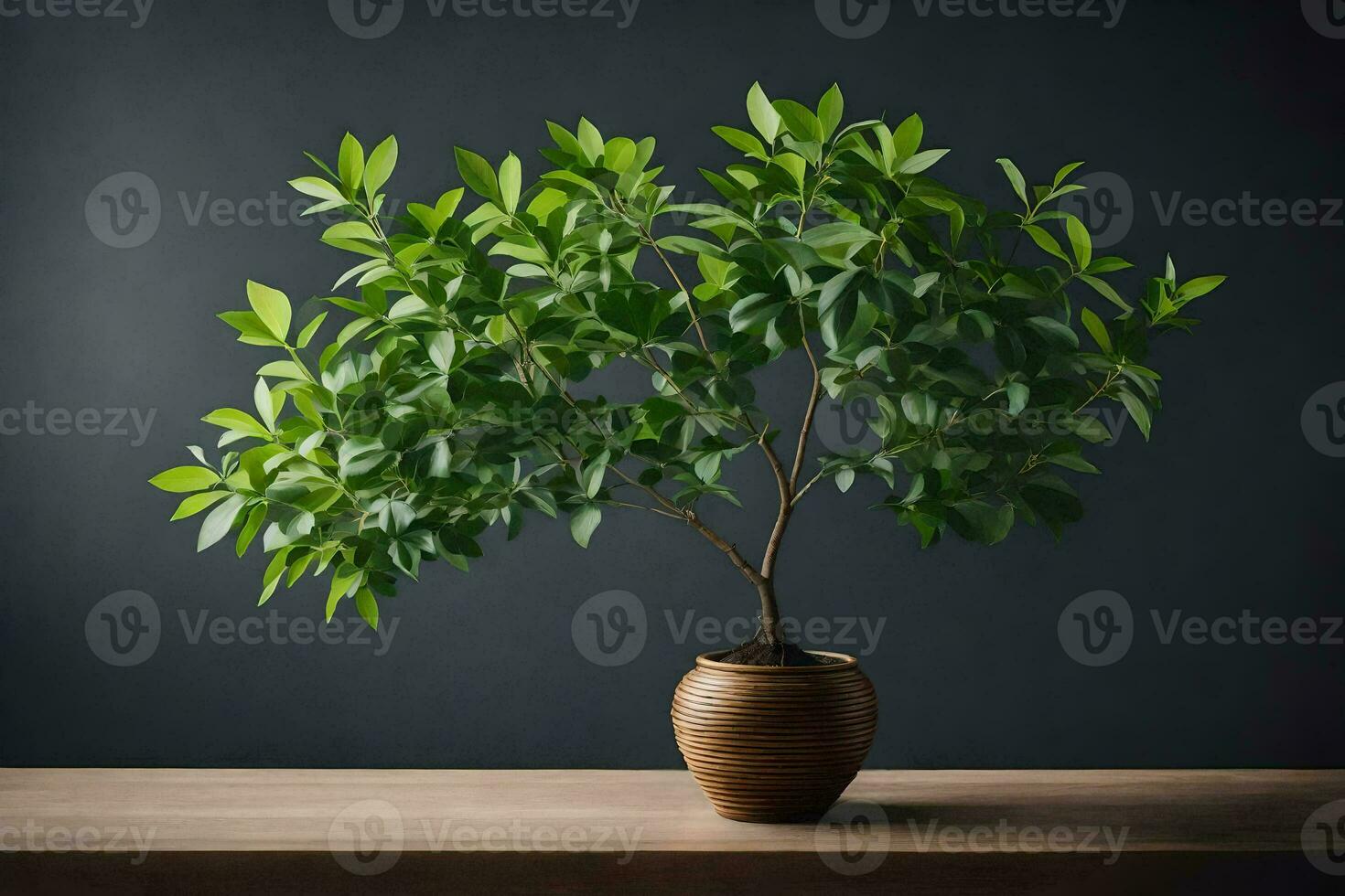 a potted plant on a table. AI-Generated photo