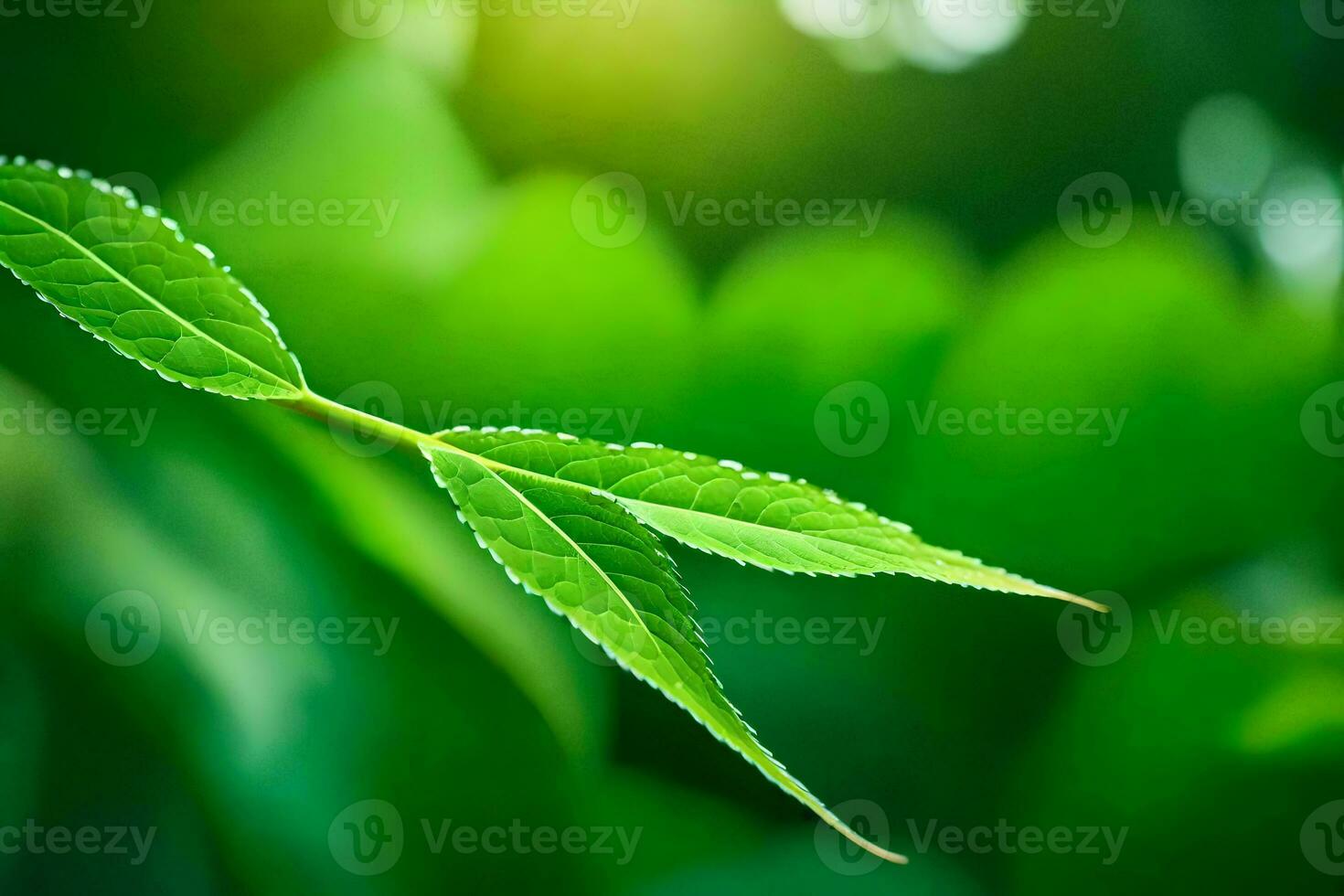 a green leaf on a tree branch. AI-Generated photo