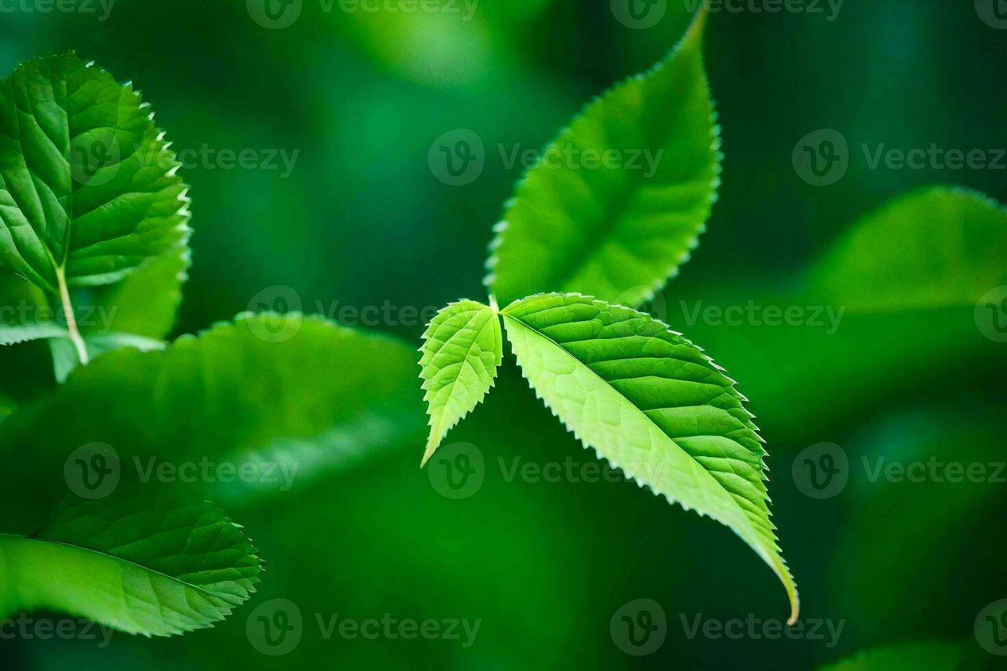 a close up of green leaves on a plant. AI-Generated photo