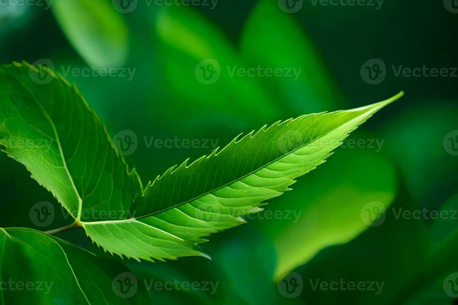a close up of a green leaf. AI-Generated photo