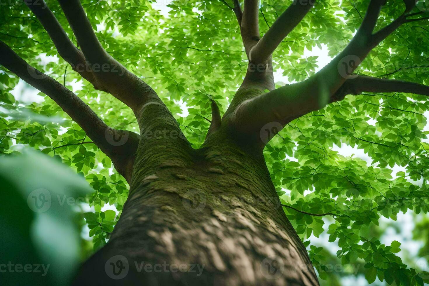 a tree with green leaves and sunlight. AI-Generated photo