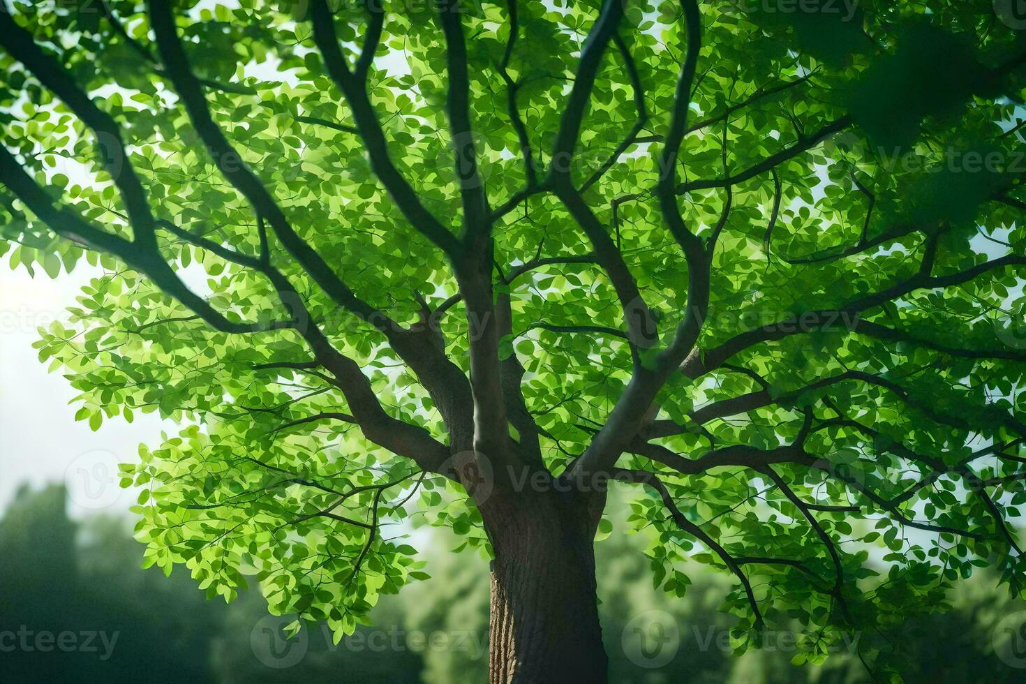 a tree is shown in the sunlight with green leaves. AI-Generated photo