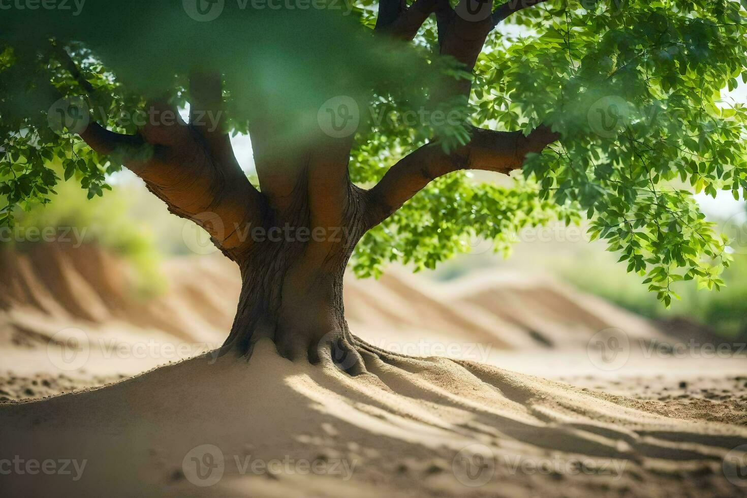 a tree in the desert with sand and dirt. AI-Generated photo