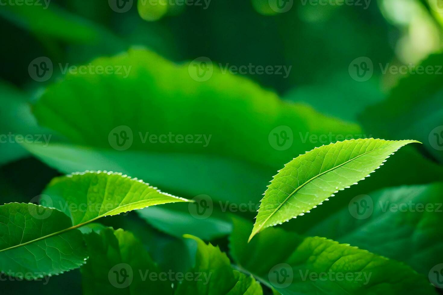 a close up of green leaves in the forest. AI-Generated photo