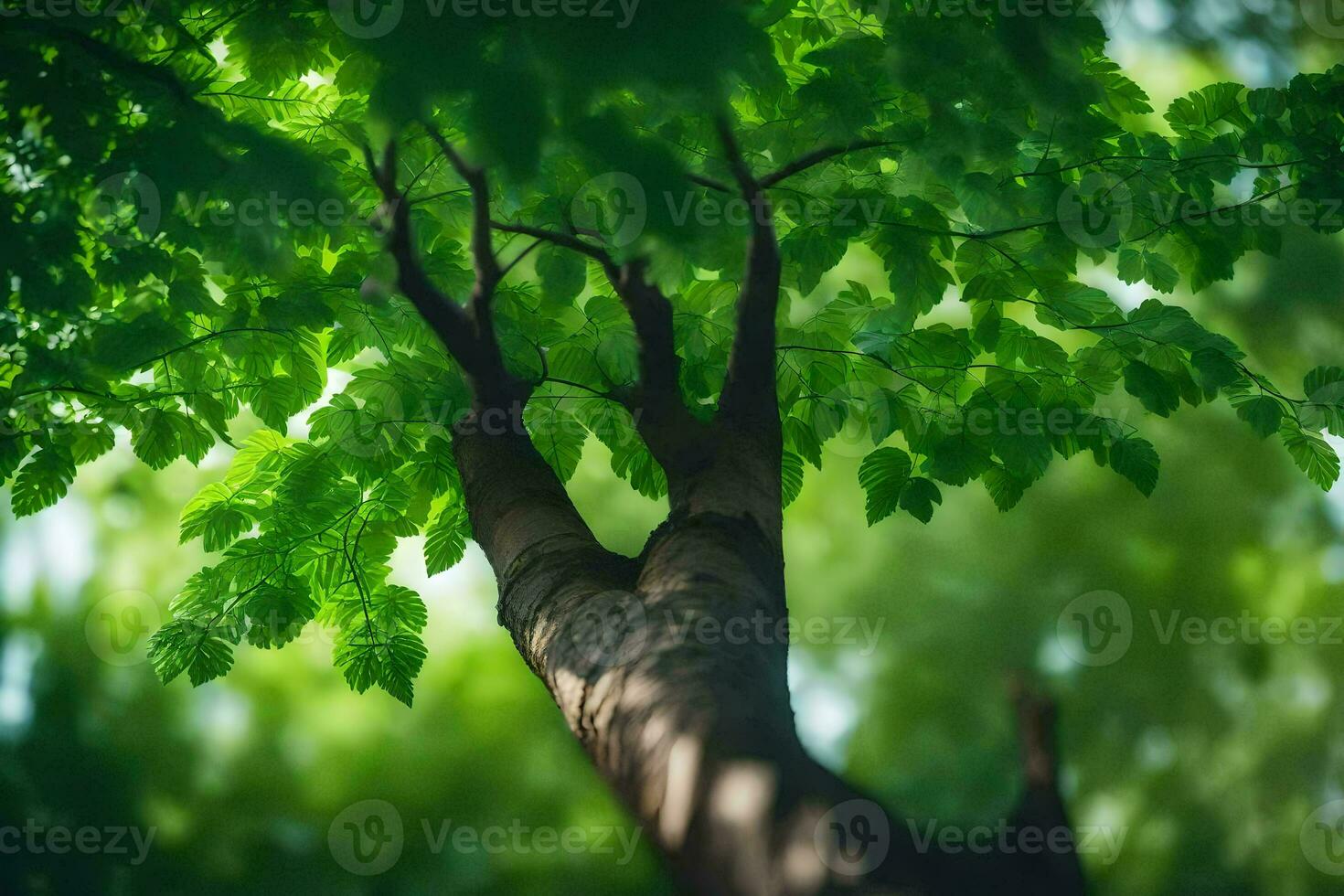 a tree with green leaves in the sunlight. AI-Generated photo