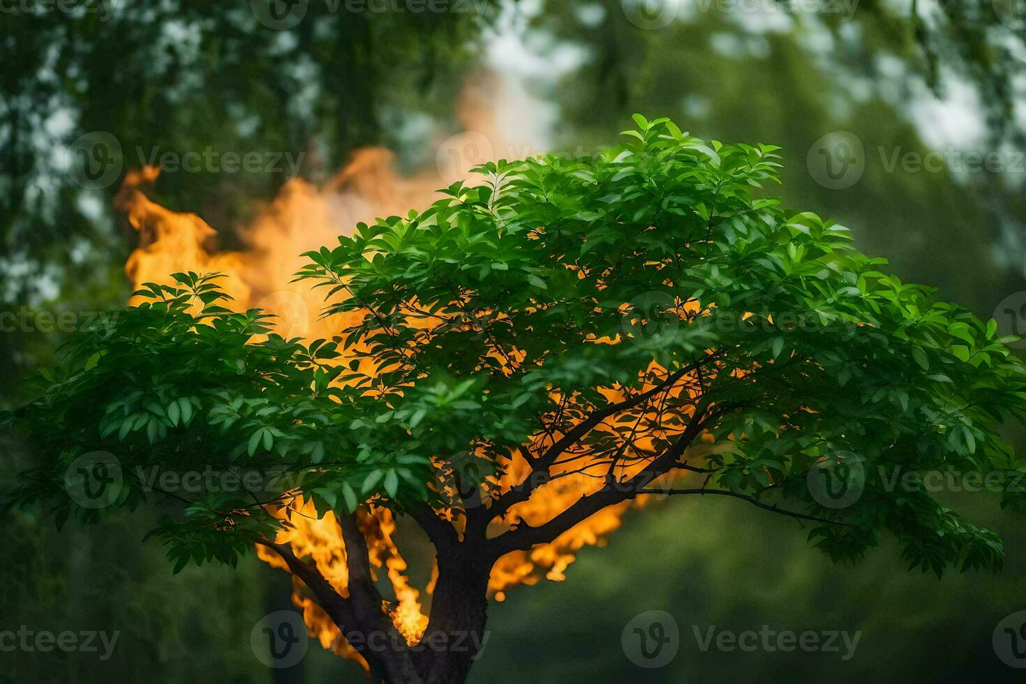 a tree with flames coming out of it. AI-Generated photo