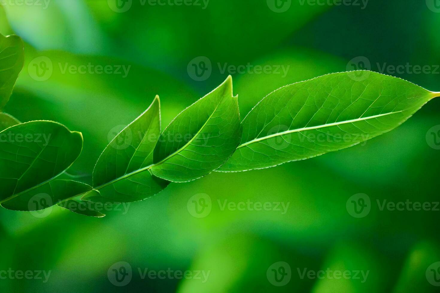 a close up of a leaf on a tree. AI-Generated photo