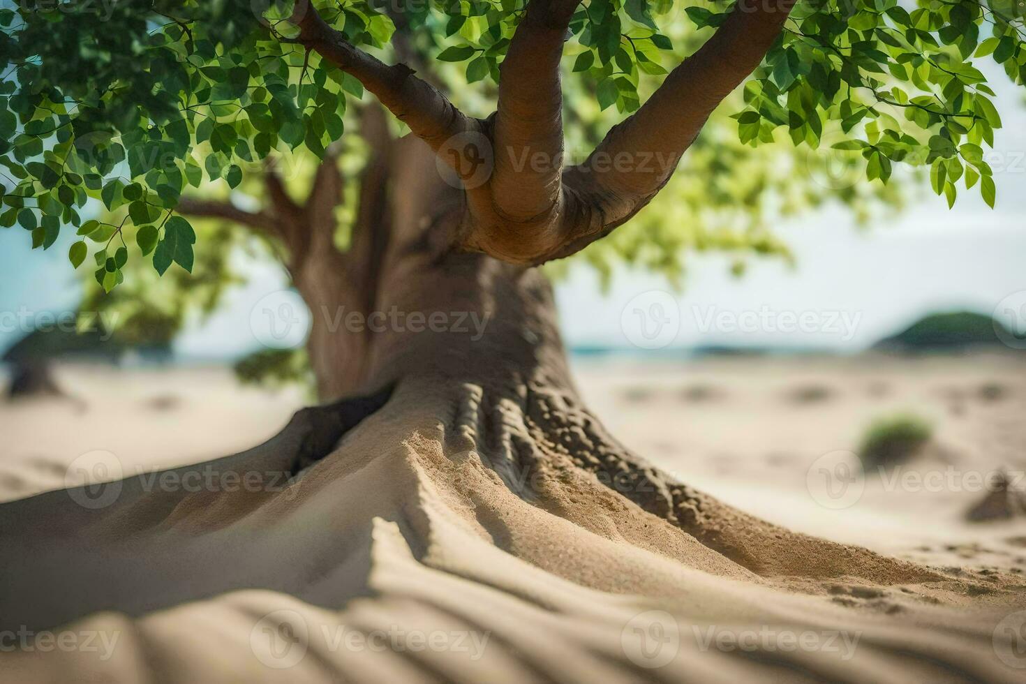 a tree with roots in the sand. AI-Generated photo