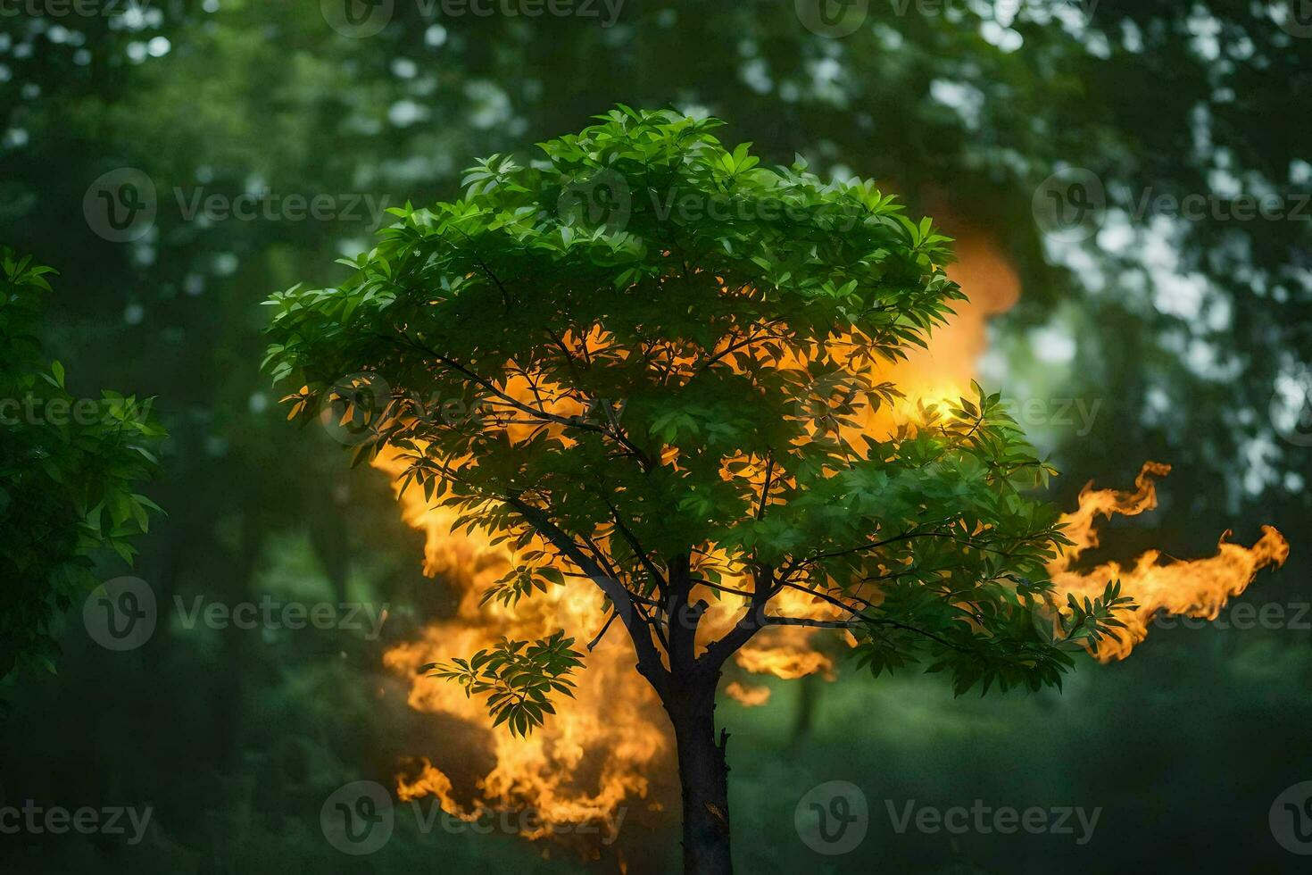 a tree with flames coming out of it. AI-Generated photo