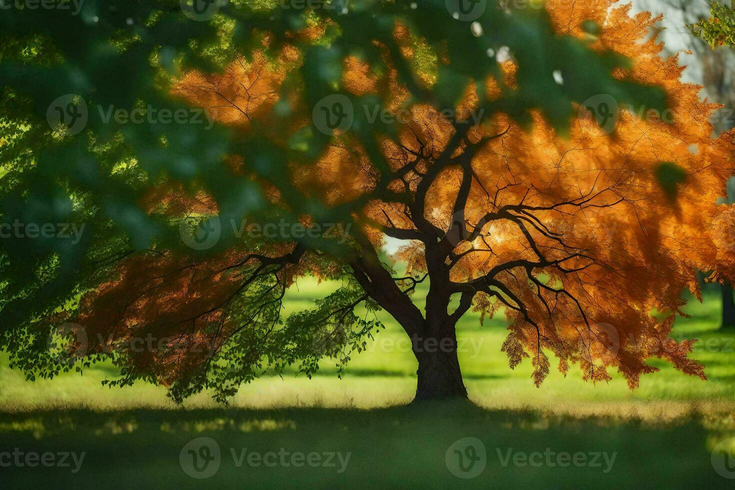 a tree with orange leaves in the grass. AI-Generated photo