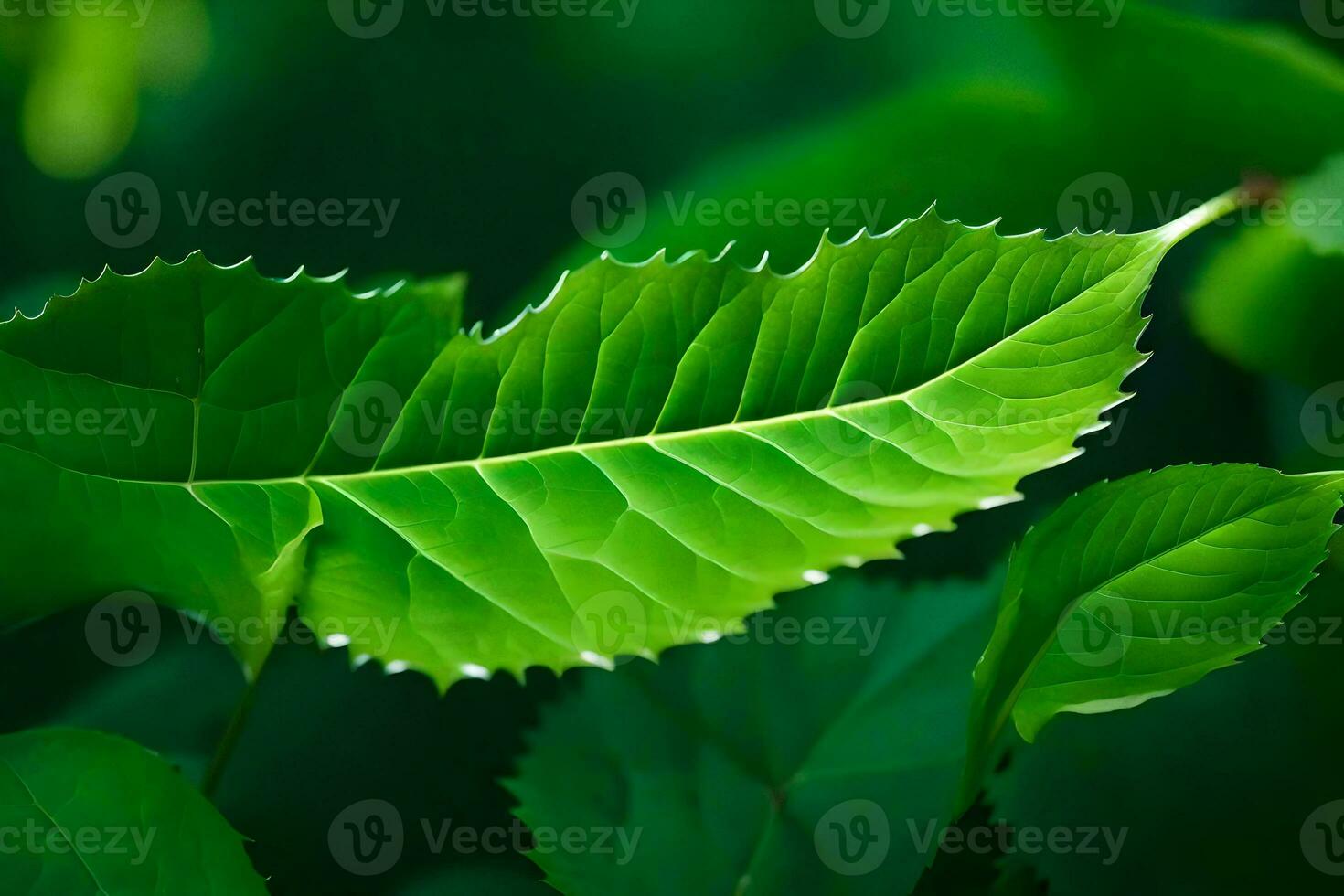 a close up of a green leaf. AI-Generated photo