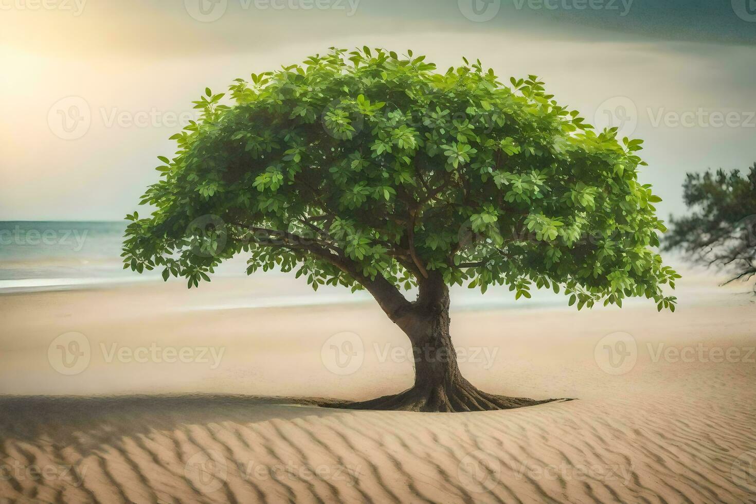 a tree on the beach with sand and water. AI-Generated photo