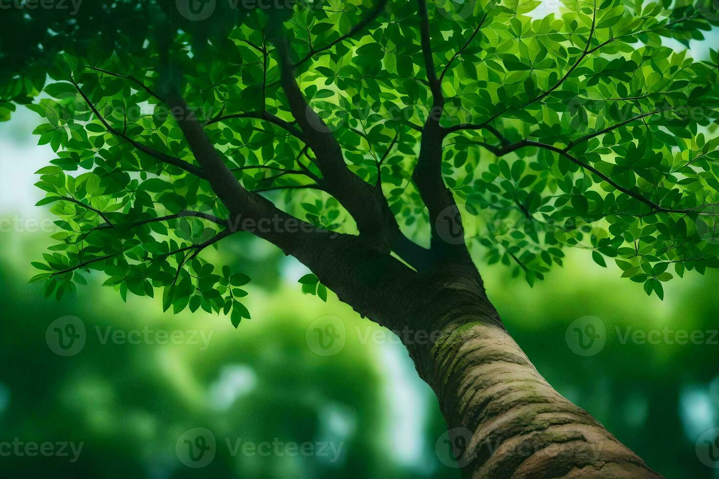 a tree is seen from above with green leaves. AI-Generated photo