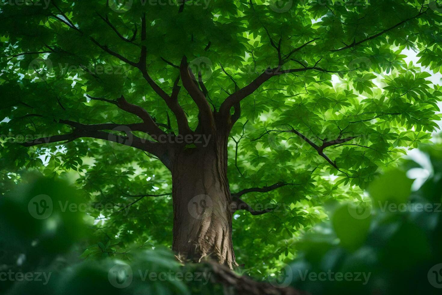 un árbol es visto en el luz de sol mediante el hojas. generado por ai foto